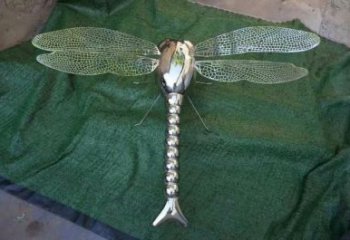 鏡面昆蟲雕塑廠家 現(xiàn)代草地?cái)[件 游樂場(chǎng)異形昆蟲雕塑