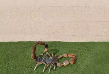 噴漆蝎子雕塑廠家 卡通廣場小品 草地切面蝎子雕塑