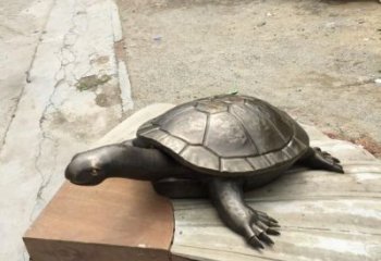 別墅烏龜?shù)袼軓S家 卡通噴漆小品 戶外抽象烏龜?shù)袼?></a>
                        <h4><a href=