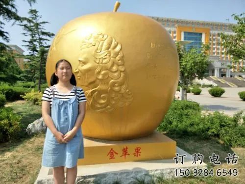 鍍金金蘋果雕塑廠家 廣場擺件 現代不銹鋼金蘋果雕塑廠