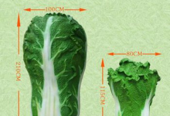 廣場白菜雕塑廠家 仿真小品 大型不銹鋼白菜雕塑廠