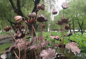 荷花雕塑擺件制造，藝術(shù)擺件，文化景觀銅荷花雕塑選定