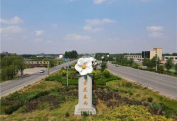 花朵景觀雕塑，美陳建筑雕塑，不銹鋼烤漆花朵雕塑廠家