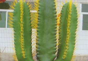 仙人棒雕塑擺件標準，景區案例，仿真仙人棒雕塑常用廠家