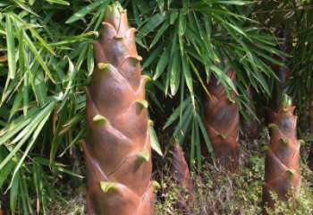 竹筍雕塑訂做，景觀雕塑，彩繪不銹鋼竹筍雕塑提供