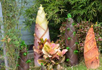 竹筍雕塑供需，小區雕塑，不銹鋼竹筍雕塑制造廠家