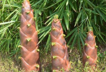 竹筍雕塑預定，創意雕塑，不銹鋼竹筍雕塑選用