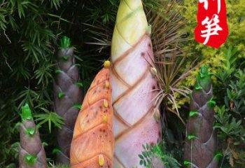 竹筍雕制造商，室外軟裝，不銹鋼竹筍雕塑生產商