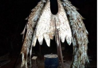 鳥(niǎo)翅雕塑供需，廣場(chǎng)雕塑，不銹鋼鳥(niǎo)翅雕塑定制